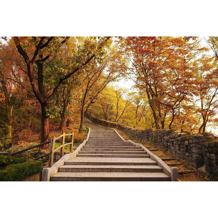 Fototapet Trepte spre cer, 400 x 250 cm