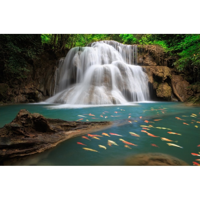 Autocolant Cascada cu pesti, 270 x 200 cm