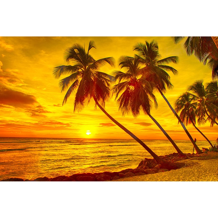 Fototapet Palmieri in apus de soare, 400 x 250 cm