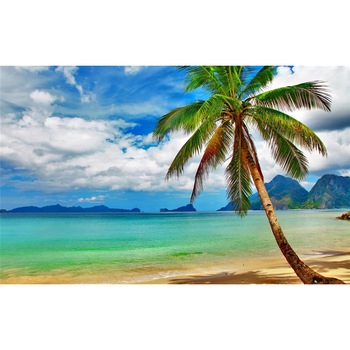 Autocolant Plaja cu palmier, 270 x 200 cm Autocolant Plaja cu palmier, 270 x 200 cm