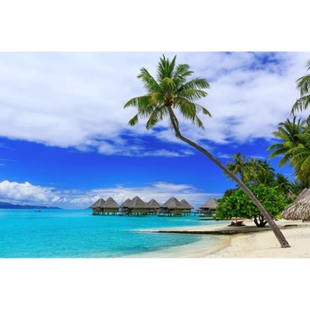 Autocolant Vacanta la casute, 270 x 200 cm Autocolant Vacanta la casute, 270 x 200 cm