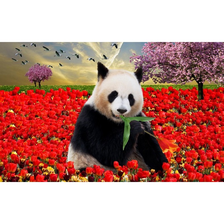 Happy Panda vászonfestmény, 75x50 cm