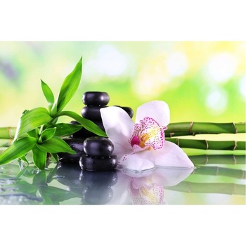 Fototapet PREMIUM vlies, lavabil, SPA cu flori, pietre si bambus, 400x280 cm Fototapet PREMIUM vlies, lavabil, SPA cu flori, pietre si bambus, 400x280 cm