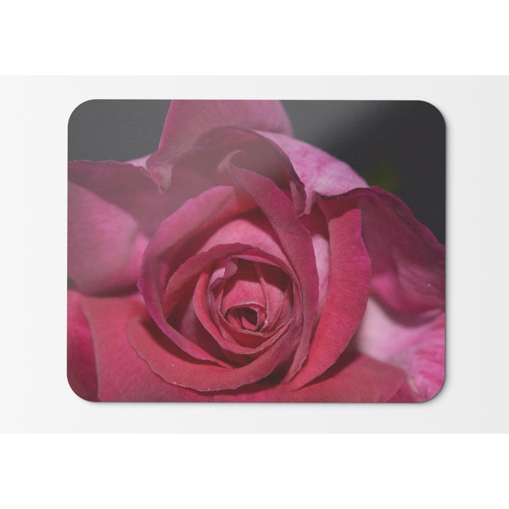 Egérpad piros rózsaszirom sötét háttér HD - 21,5 x 27 x 0,3 cm