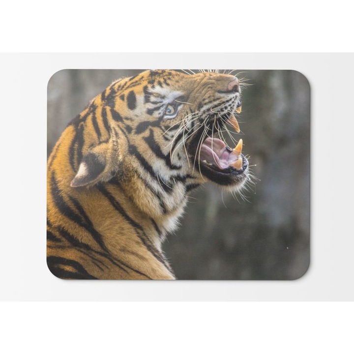 Mouse Pad Tiger Roaring Hd - 21,5 X 27 X 0,3 cm
