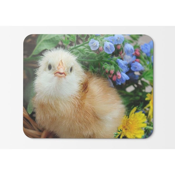 Egérpad csaj a kosárban - 21,5 x 27 x 0,3 cm