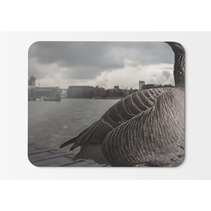 Mouse Pad Goose By The City Lake - 21,5 X 27 X 0,3 cm