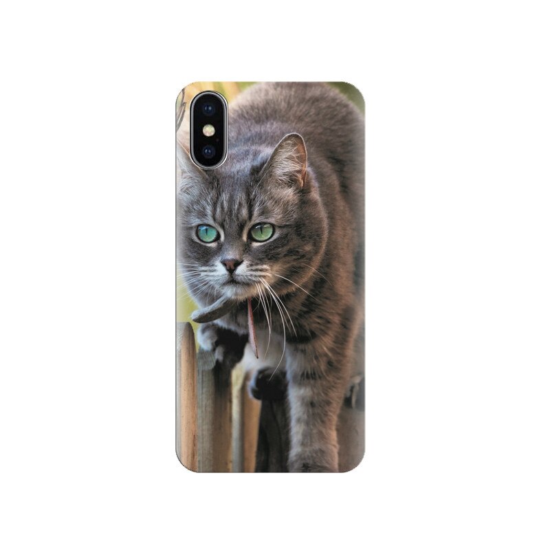Husa silicon IPHONE X Animal Beautiful Cat