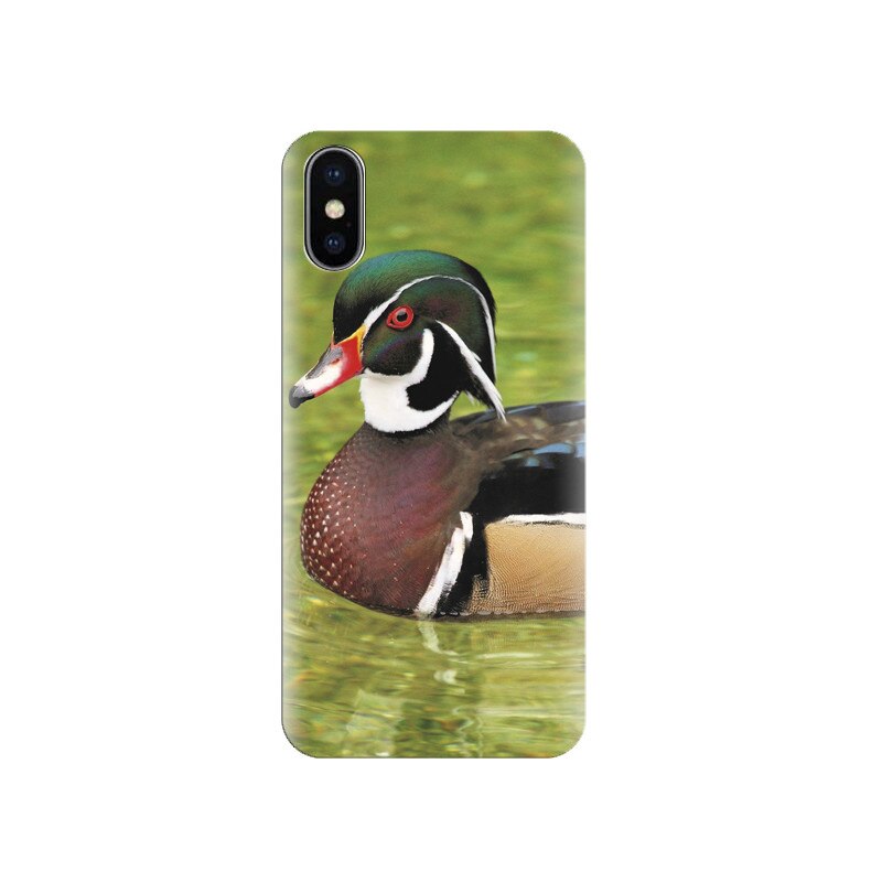 Husa silicon IPHONE X Colourful Duck On Green Water