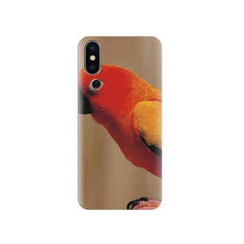 Husa silicon IPHONE X Orange Parrot Husa silicon IPHONE X Orange Parrot