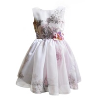 rochie miss mignon visul unei nopti de vara 140 cm 9-10 ani imagen 25_0_
0