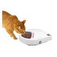 Hranitor automat pentru pisici Kerbl Cat Mate® C500