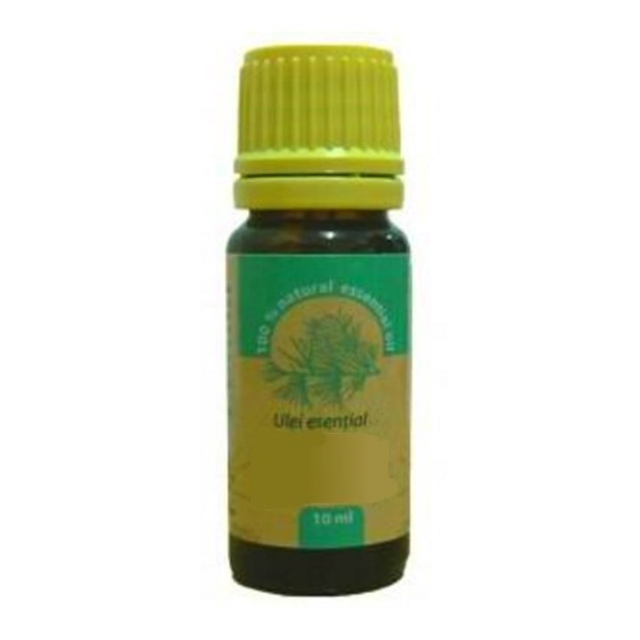 Soluții naturale pentru piele uscată și îmbătrânită. Ser regenerant pe care îl poți prepara acasă