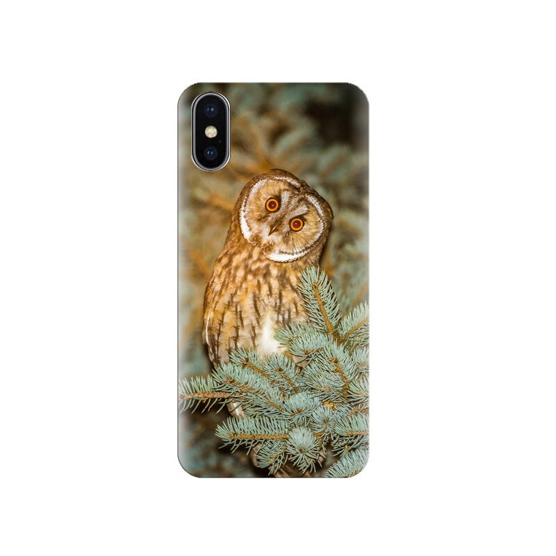Husa Iphone X Owl-At-Spruce-Branch
