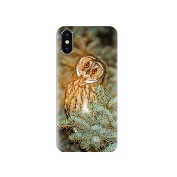 Husa Iphone X Owl-At-Spruce-Branch Husa Iphone X Owl-At-Spruce-Branch