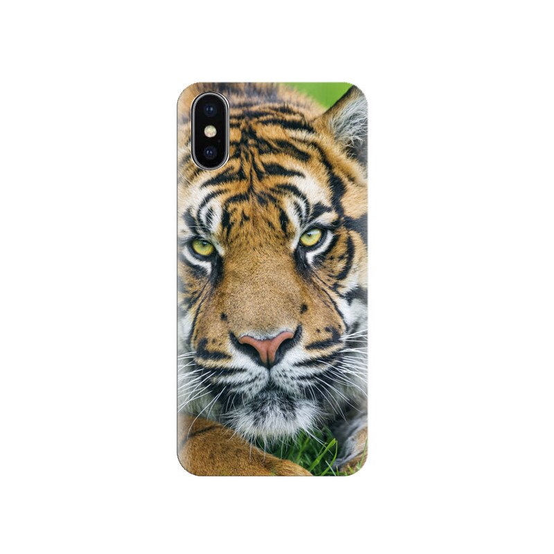 Husa Iphone X Sumatran-Tiger-Face