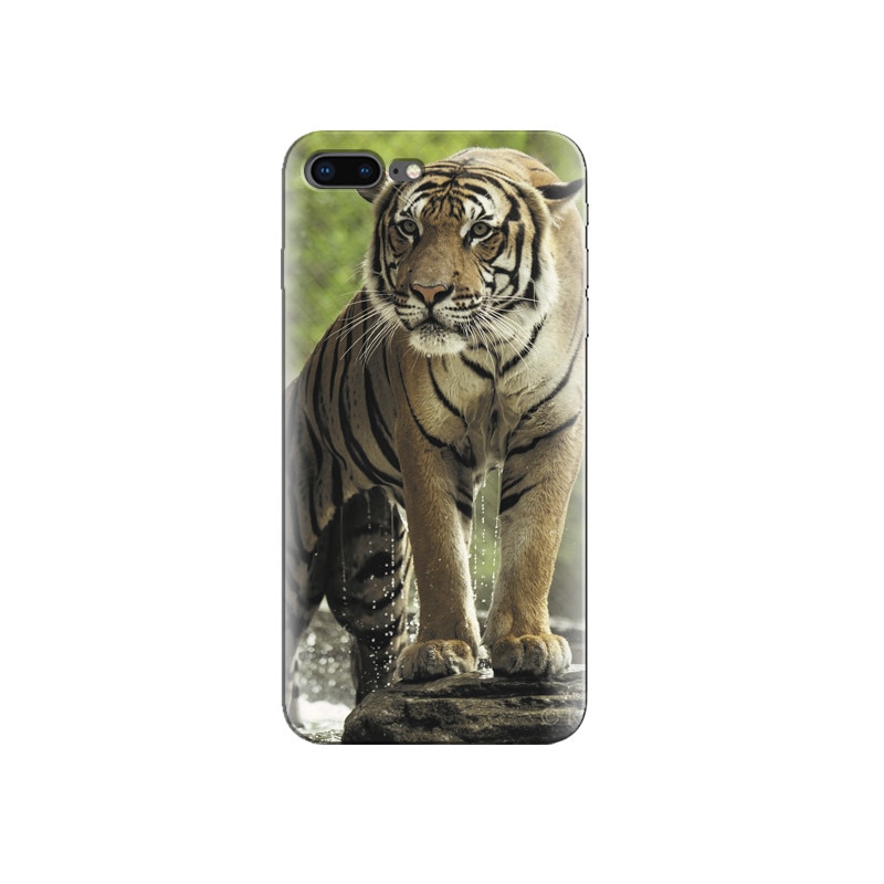 Husa Iphone 8 Plus Bathing Wet Tiger