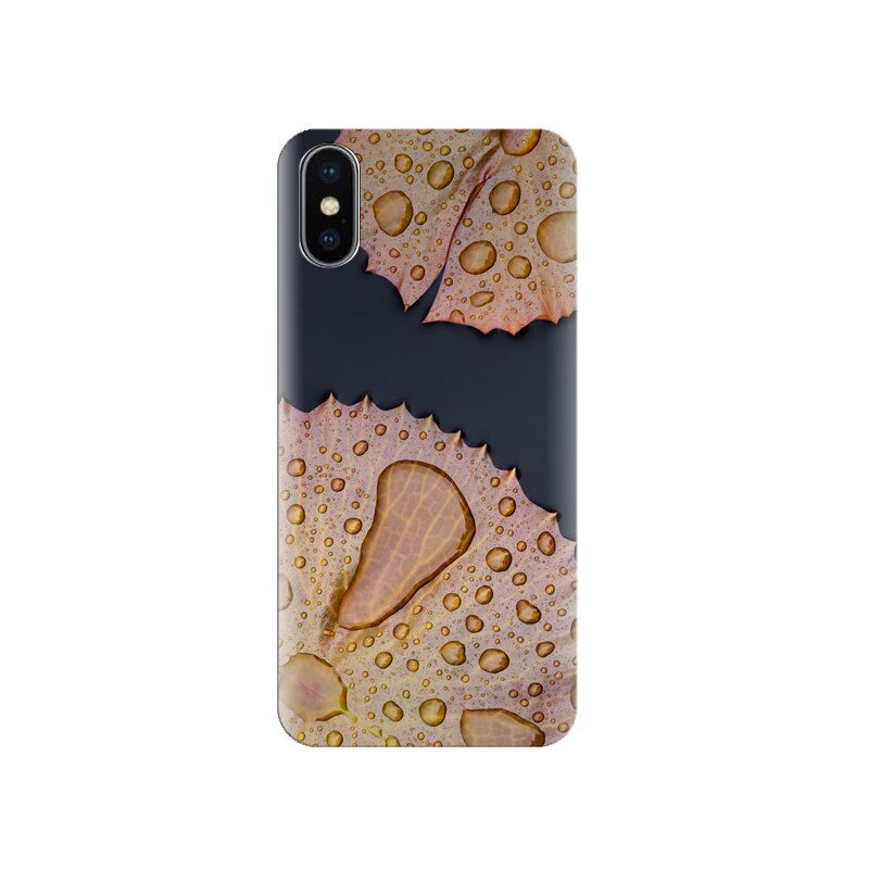 Husa Iphone X Stock-Smartphone-Autumn-Leaves-Dew-Drops