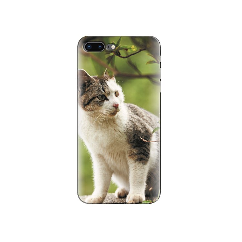 Husa Iphone 7 Plus Kitten Watching Branches