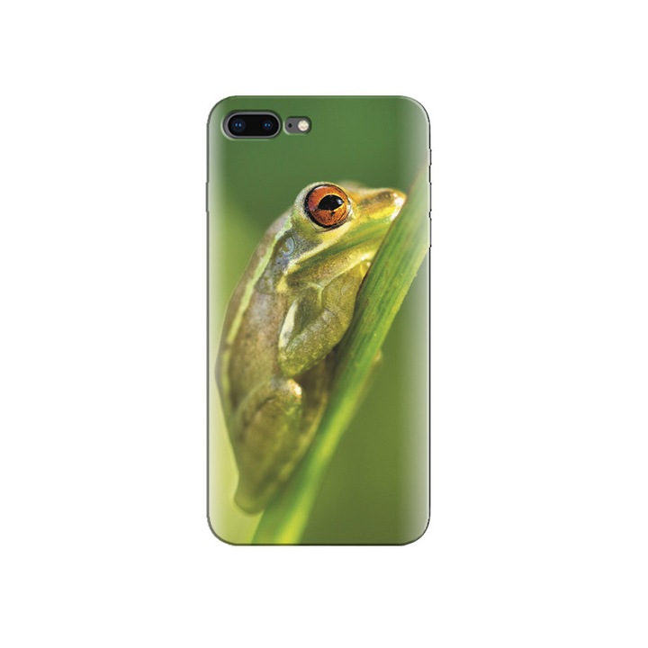 Béka ül a Branch Iphone 5s tokban