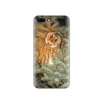 Husa Iphone 5s Owl At Spruce Branch Husa Iphone 5s Owl At Spruce Branch