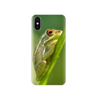 Husa Iphone X Frog-Sitting-At-Branch Husa Iphone X Frog-Sitting-At-Branch