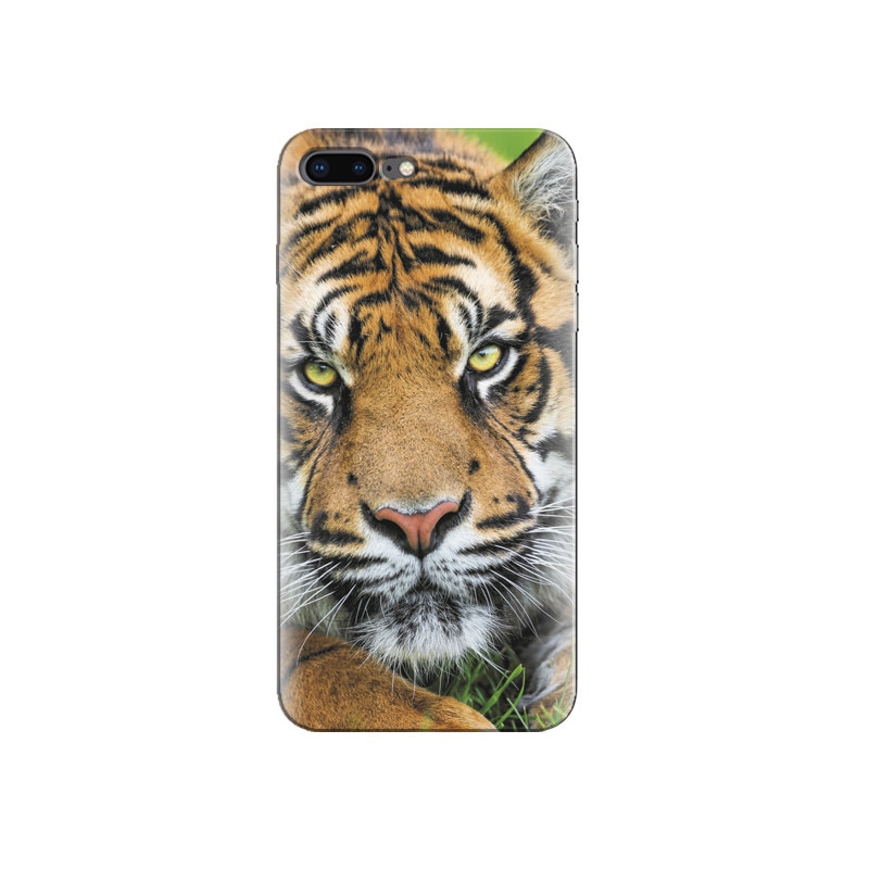 Husa Iphone 5s Sumatran Tiger Face