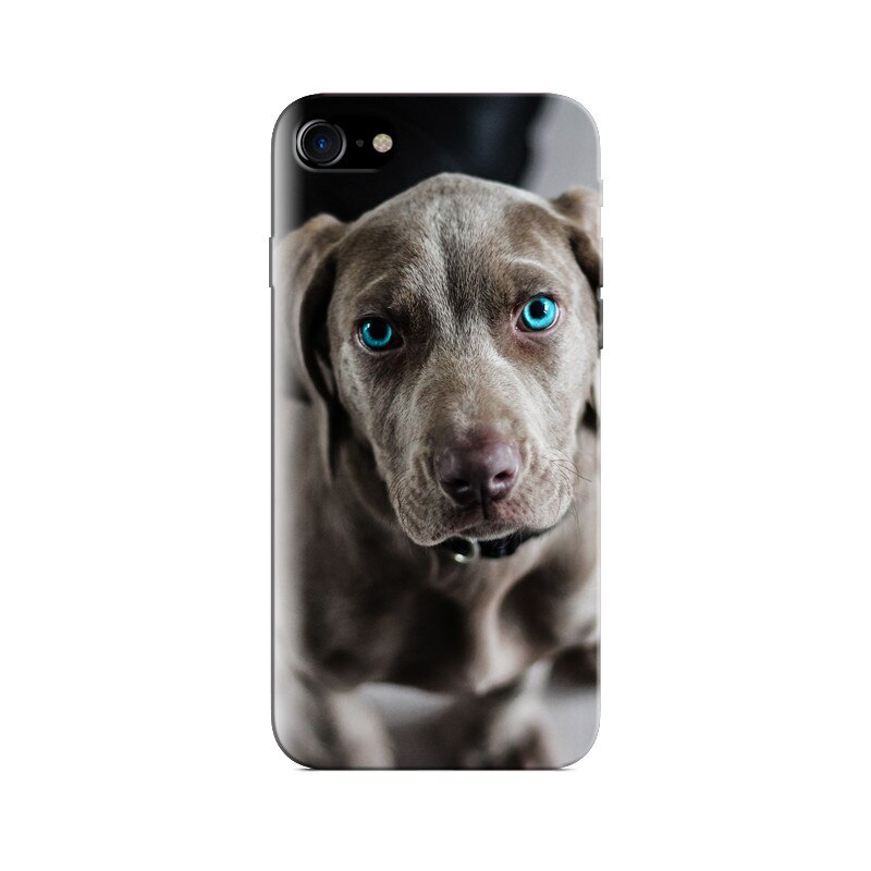 Husa Iphone 5s Best Friend