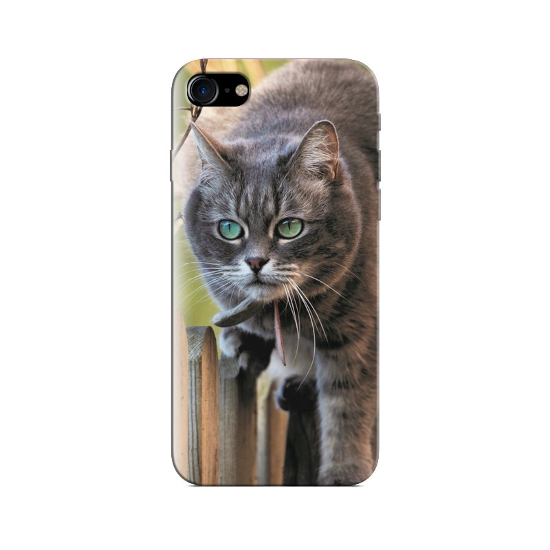 Husa Iphone 8 Animal Beautiful Cat
