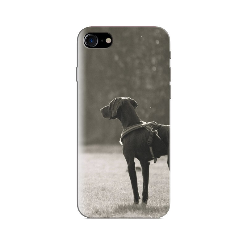 Husa Iphone 5s Black Dog Screens