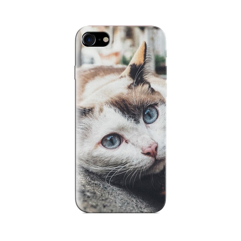 Husa Iphone 8 Bell Kitten