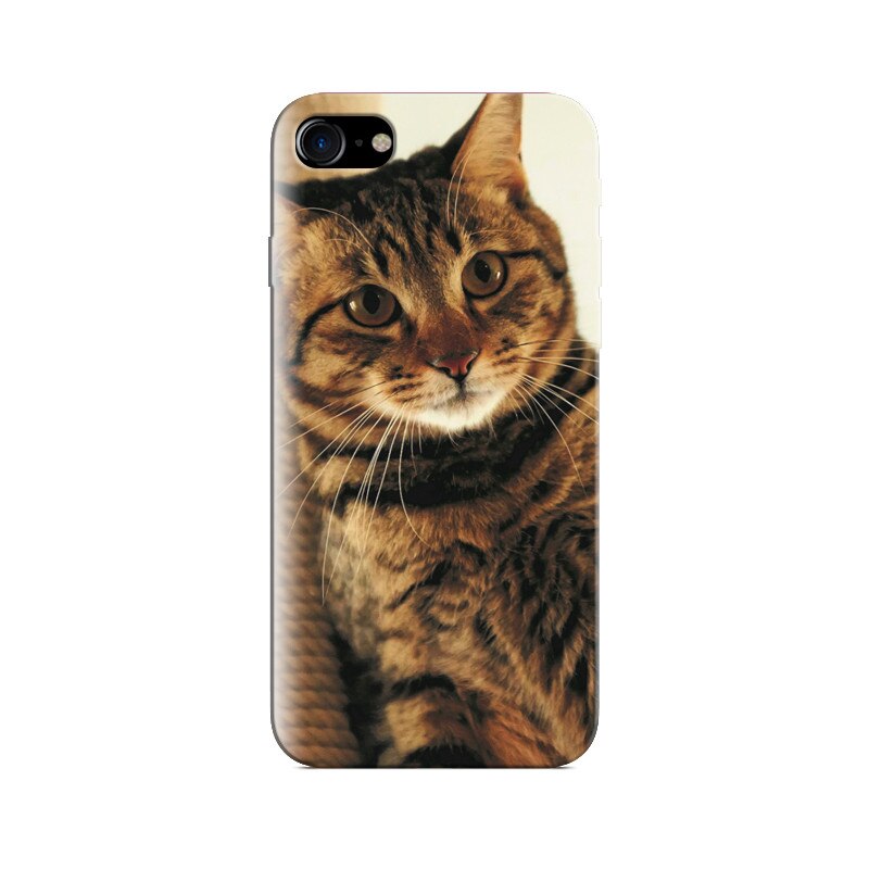 Husa Iphone 8 Animal Cat High Qualitys Gallery