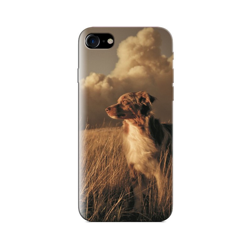 Husa Iphone 8 Alone Dog Animal In Grass