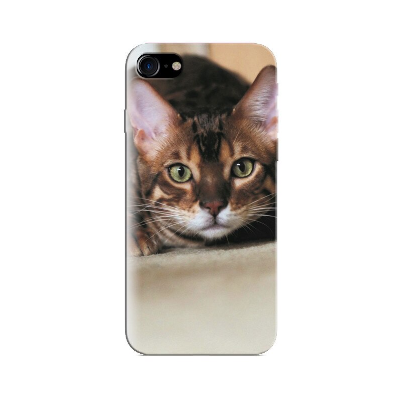 Husa Iphone 8 Animal Cat Nice For