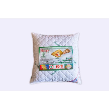Perna matlasata, tratata cu Aloe Vera, Hypo-Alergica 60x60 Perna matlasata, tratata cu Aloe Vera, Hypo-Alergica 60x60