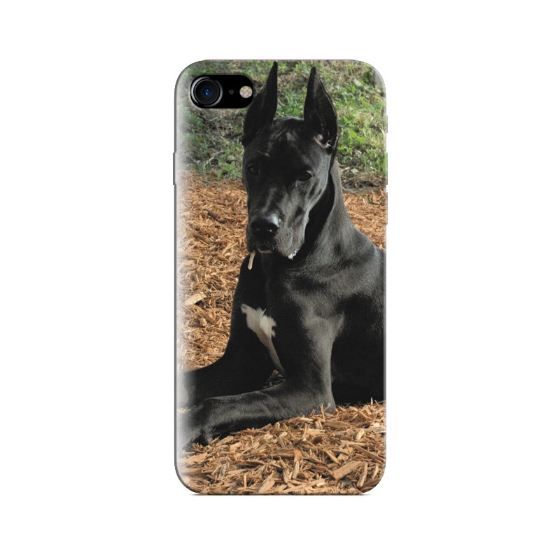 Husa Iphone 8 Black German Dog 640 X 1136s