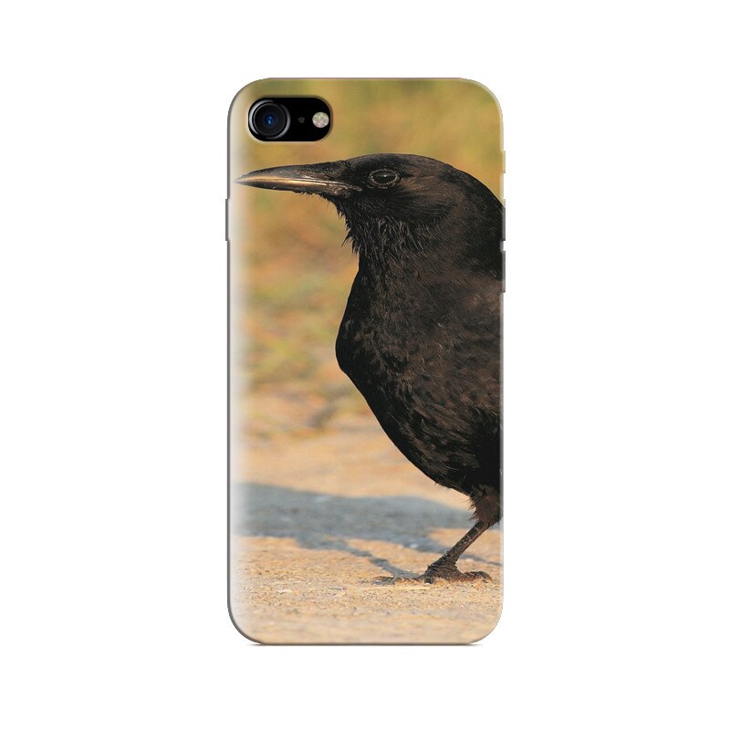 Husa Iphone 5s Crow Nice Ture