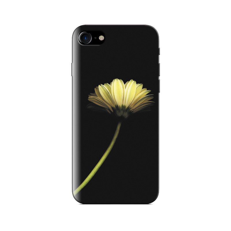 Husa Iphone 5s Dandelion Flower Hd Images For