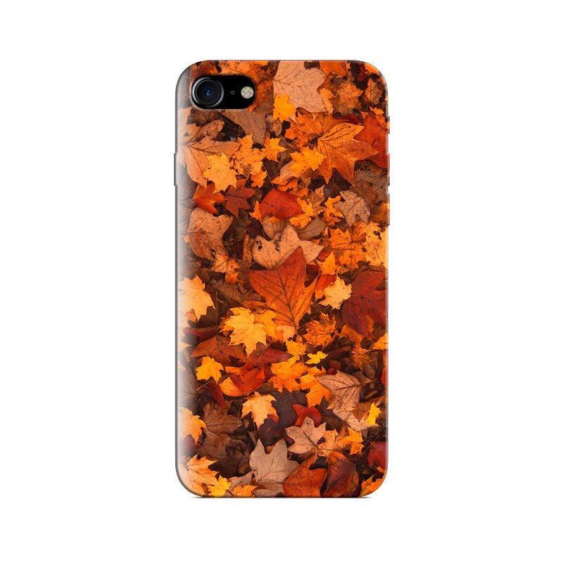 Husa Iphone 5s Fall Foliage
