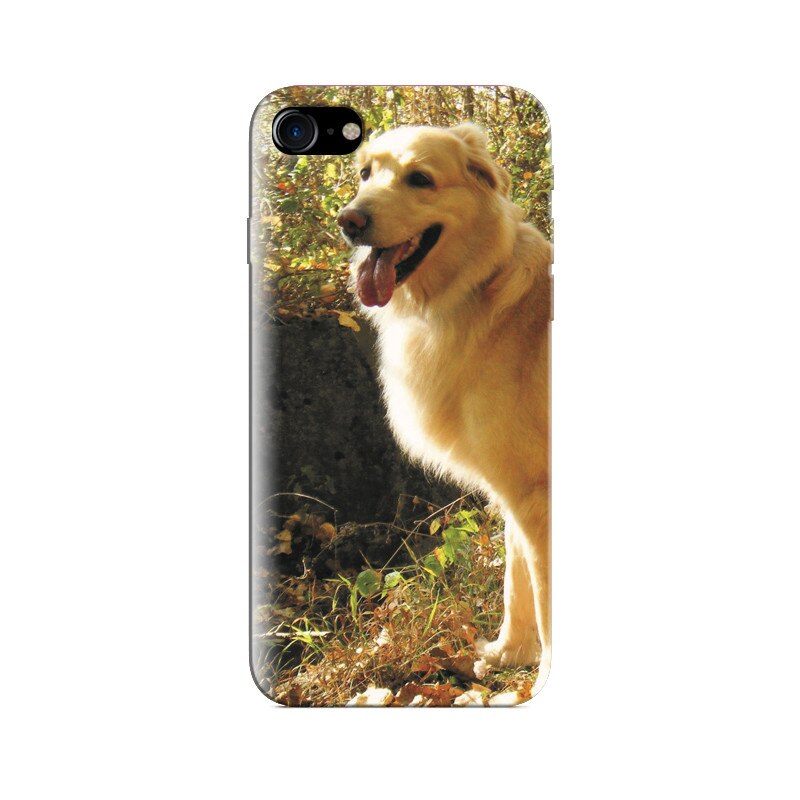 Husa Iphone 5s Cute Dog Photoshoots Backgrounds