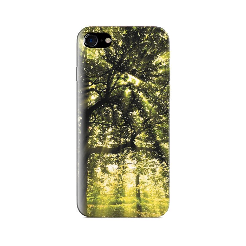 Husa Iphone 5s Forest Sun Awesome View Real Hd Natures