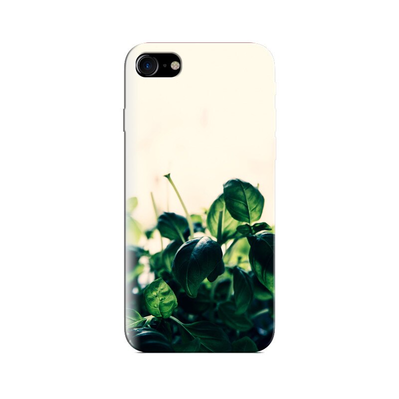 Husa Iphone 5s Herbal Green