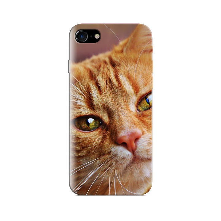 Iphone 5s Ginger Skittle tok