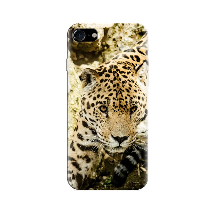 Iphone 5s tok Leopard_1