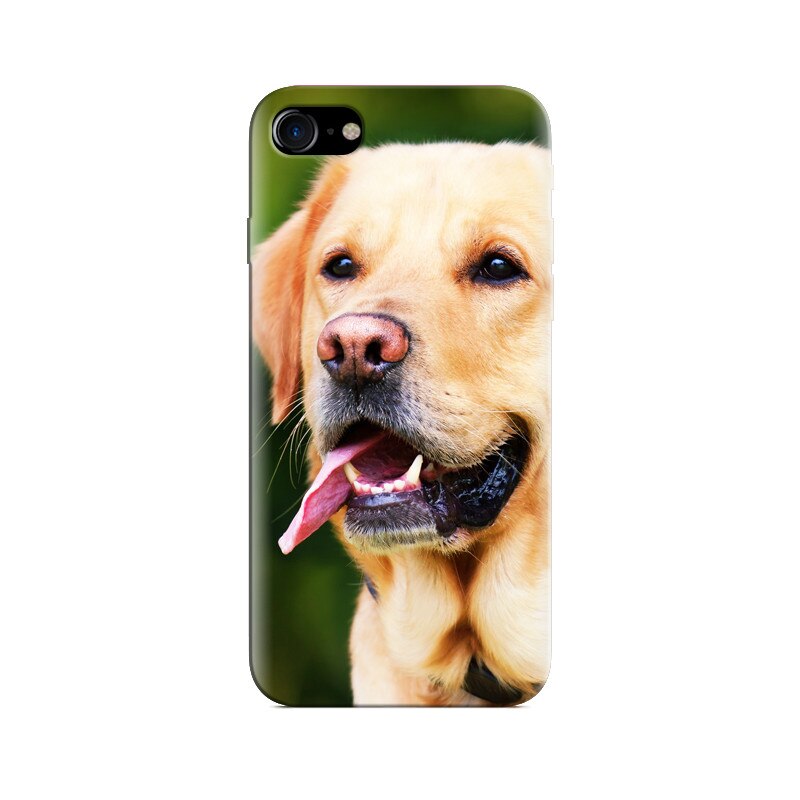 Husa Iphone 5s Labrador