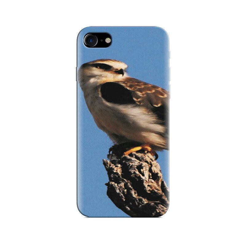 Husa Iphone 5s Kite Bird Indian