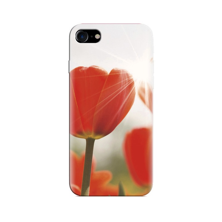 Iphone 5s tok narancssárga tulipán virág hátterek