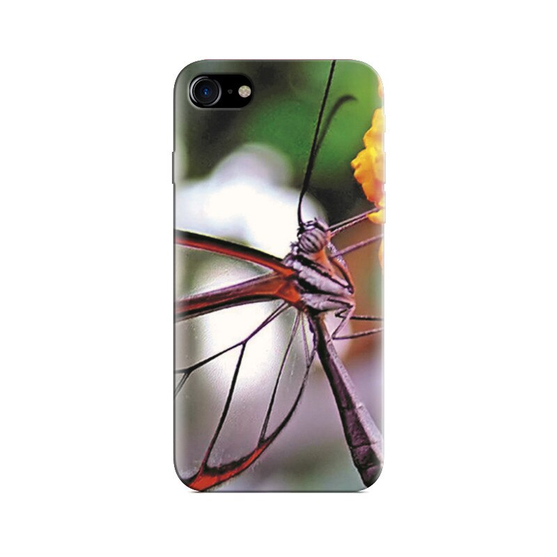 Husa Iphone 7 Transparent Butterfly On Flower