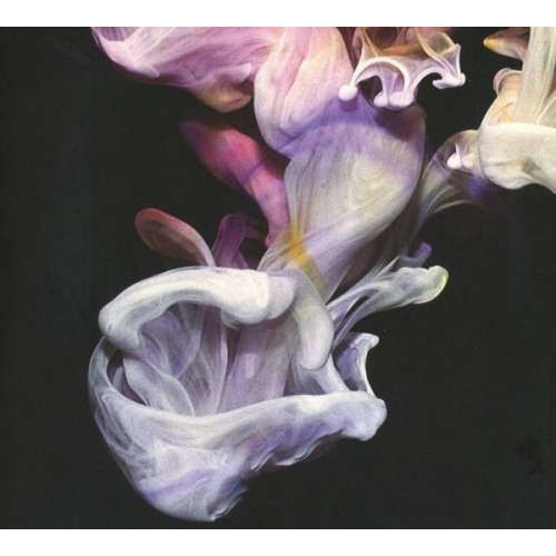 Simian Mobile Disco - Murmurations (CD)