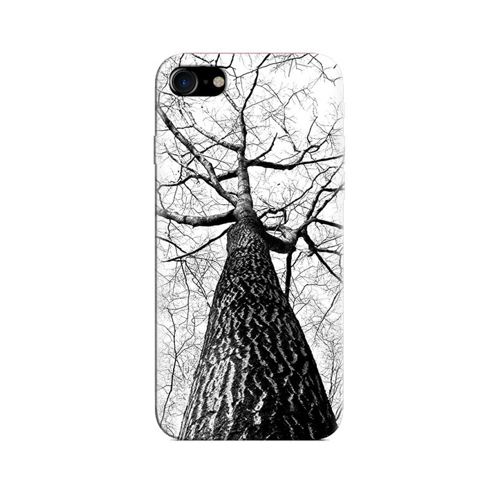 Iphone 5s Tree Branches tok